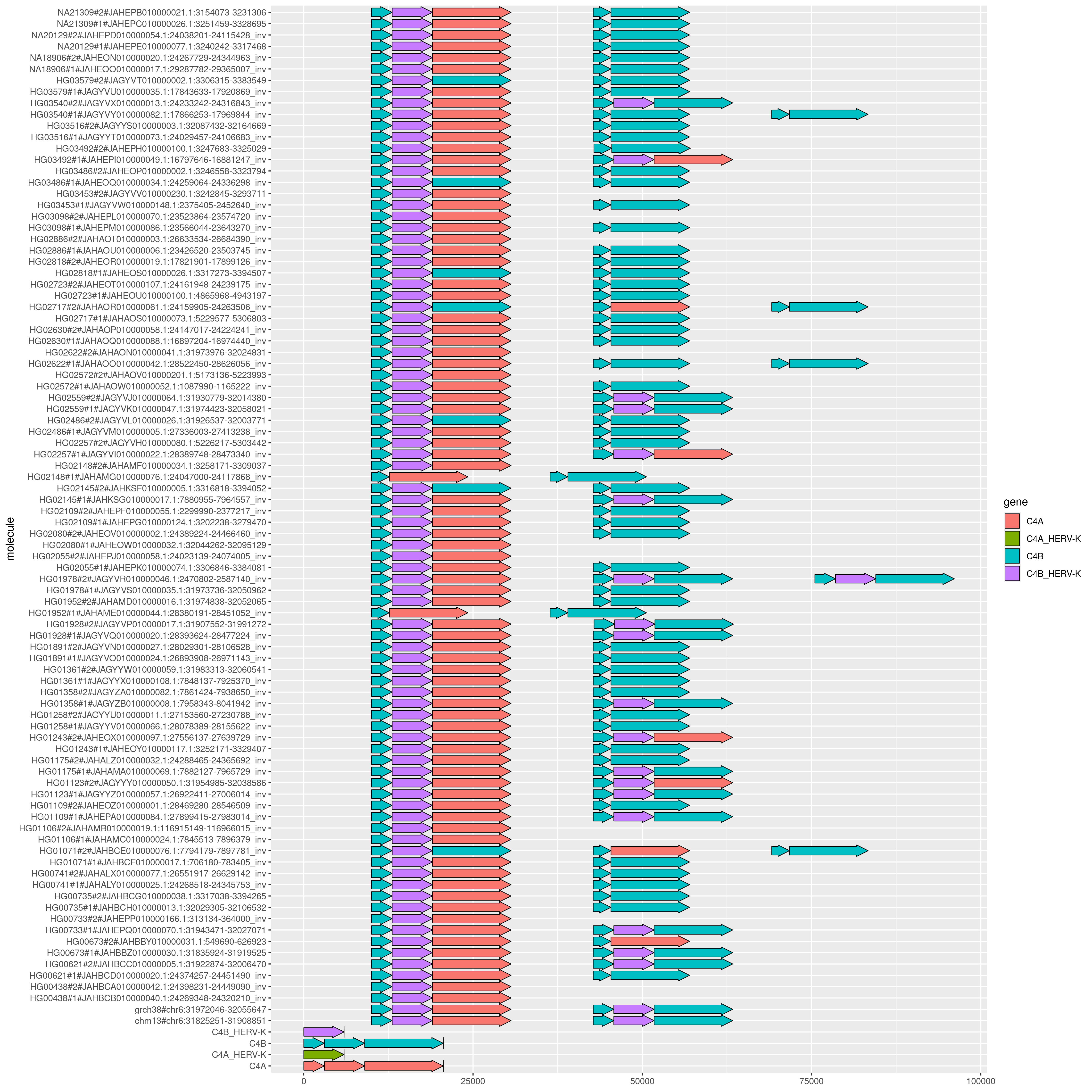 ../../_images/c4.gggenes.all.png